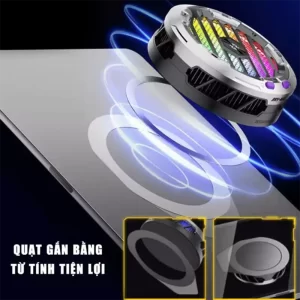 Piva BR5 Max-10